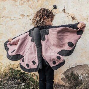 Lucy Butterfly Wings